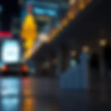 Magnificent Navigating Investment Opportunities in Ripple