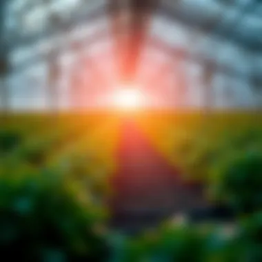 Magnificent The Safest Approaches to Crypto Yield Farming Magnificent The Safest Approaches to Crypto Yield Farming