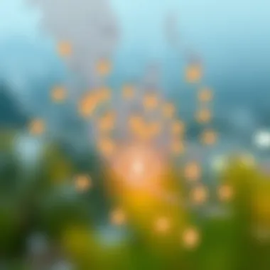 Economic Connections between USA and Indonesia Map highlighting the economic connections between the USA and Indonesia