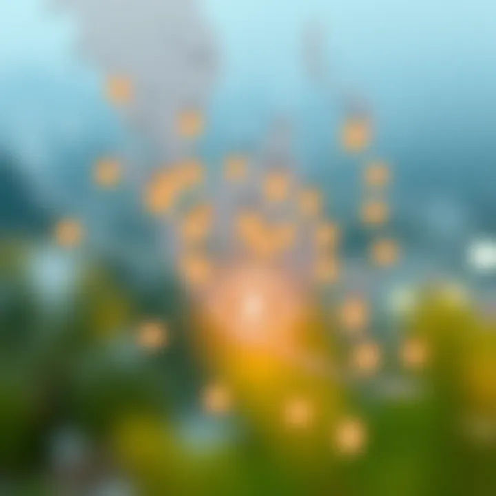 Economic Connections between USA and Indonesia Map highlighting the economic connections between the USA and Indonesia