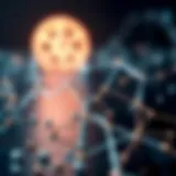 Visualizing Ethereum's Blockchain Technology Ethereum blockchain representation