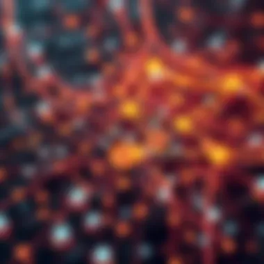 Understanding the Architecture of Mycelium Blockchain Intricate network of Mycelium blockchain architecture