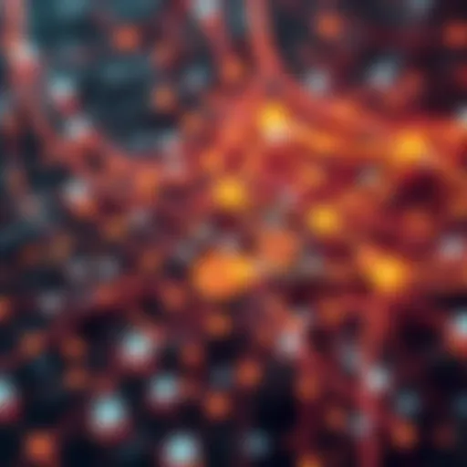 Understanding the Architecture of Mycelium Blockchain Intricate network of Mycelium blockchain architecture