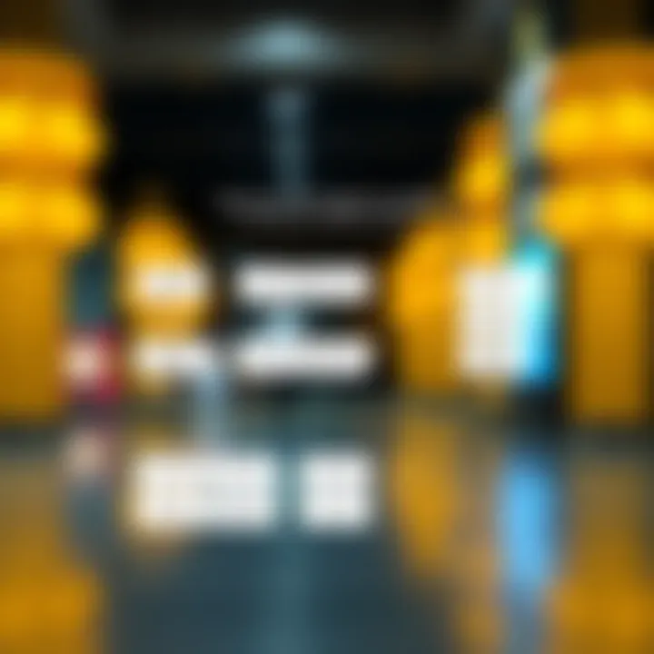 Integration of the Digital Yuan Wallet Flowchart illustrating the integration of the Digital Yuan Wallet with existing systems