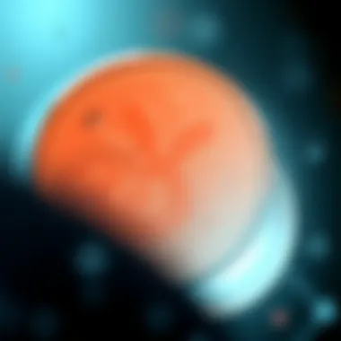 Understanding the Structure of Yuan Cryptocurrency Graphical representation of the yuan cryptocurrency's operational framework and structure