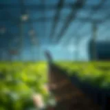 The Safest Approaches to Crypto Yield Farming Introduction