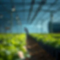 The Safest Approaches to Crypto Yield Farming Introduction
