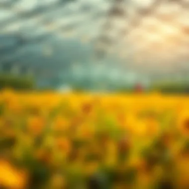 Benefits of Agriculture Coins in the Crypto Ecosystem Visual representation of agriculture coins and their benefits