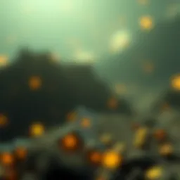 Understanding Flare Price: An In-Depth Analysis Introduction