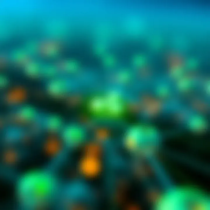 Ripple Network Architecture Visual representation of Ripple's network architecture and its nodes